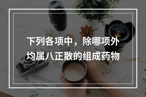 下列各项中，除哪项外均属八正散的组成药物