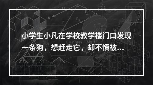 小学生小凡在学校教学楼门口发现一条狗，想赶走它，却不慎被咬伤