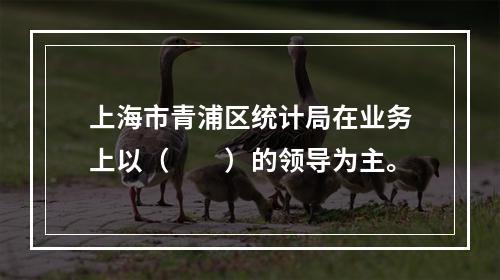 上海市青浦区统计局在业务上以（　　）的领导为主。