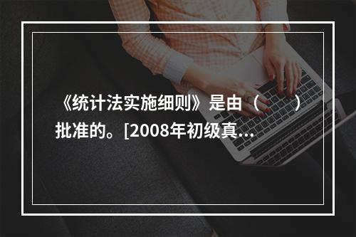 《统计法实施细则》是由（　　）批准的。[2008年初级真题