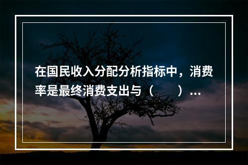 在国民收入分配分析指标中，消费率是最终消费支出与（　　）之比