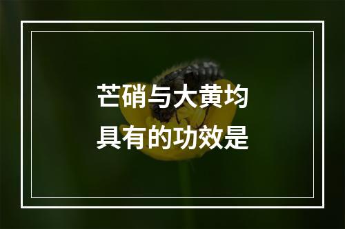 芒硝与大黄均具有的功效是