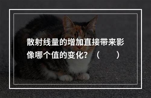 散射线量的增加直接带来影像哪个值的变化？（　　）