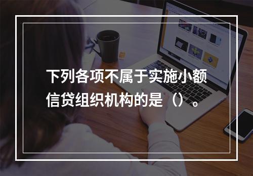 下列各项不属于实施小额信贷组织机构的是（）。