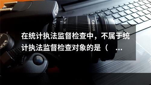 在统计执法监督检查中，不属于统计执法监督检查对象的是（　　）