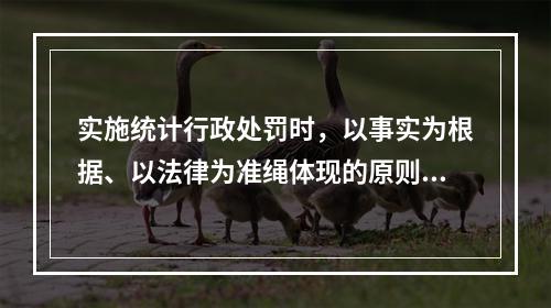 实施统计行政处罚时，以事实为根据、以法律为准绳体现的原则是（