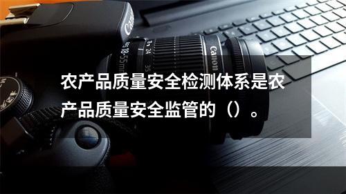 农产品质量安全检测体系是农产品质量安全监管的（）。