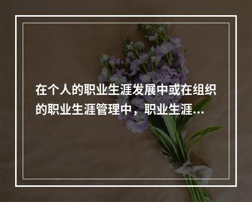 在个人的职业生涯发展中或在组织的职业生涯管理中，职业生涯锚