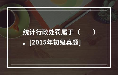 统计行政处罚属于（　　）。[2015年初级真题]