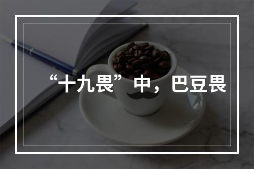 “十九畏”中，巴豆畏