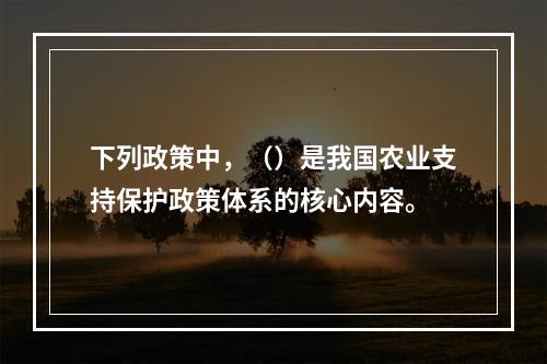 下列政策中，（）是我国农业支持保护政策体系的核心内容。