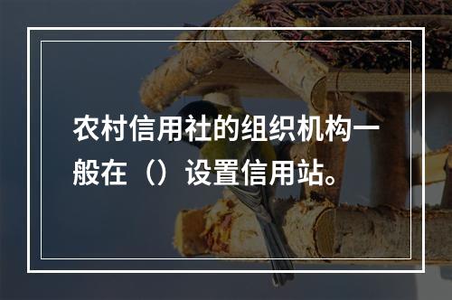 农村信用社的组织机构一般在（）设置信用站。