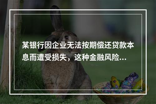 某银行因企业无法按期偿还贷款本息而遭受损失，这种金融风险属于