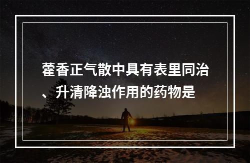 藿香正气散中具有表里同治、升清降浊作用的药物是