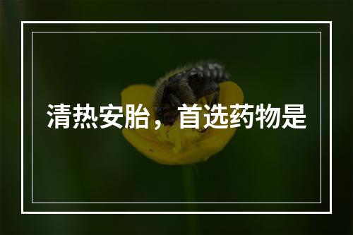 清热安胎，首选药物是