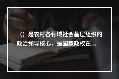 （）是农村各领域社会基层组织的政治领导核心，是国家政权在农村