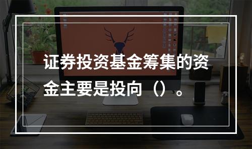 证券投资基金筹集的资金主要是投向（）。