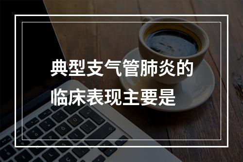 典型支气管肺炎的临床表现主要是