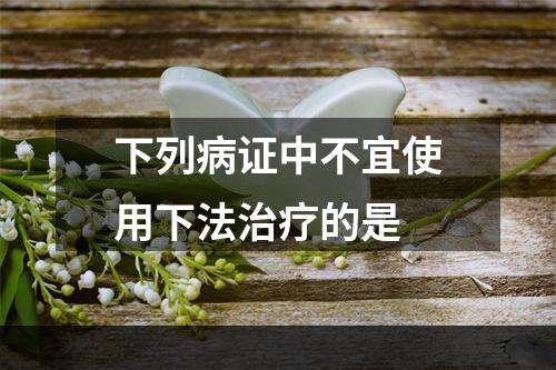 下列病证中不宜使用下法治疗的是