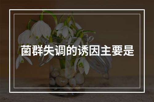 菌群失调的诱因主要是