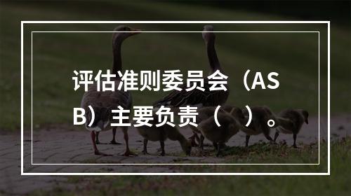 评估准则委员会（ASB）主要负责（　）。