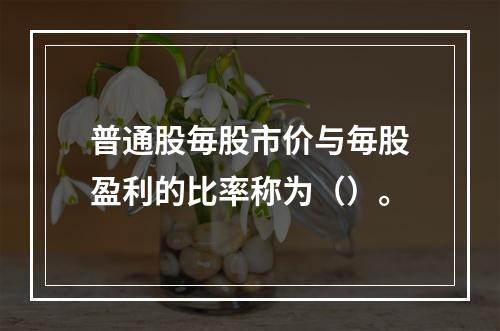 普通股毎股市价与毎股盈利的比率称为（）。