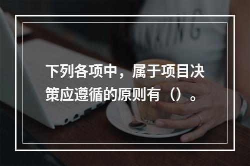 下列各项中，属于项目决策应遵循的原则有（）。