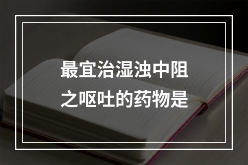 最宜治湿浊中阻之呕吐的药物是