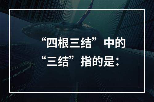 “四根三结”中的“三结”指的是：