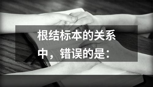 根结标本的关系中，错误的是：