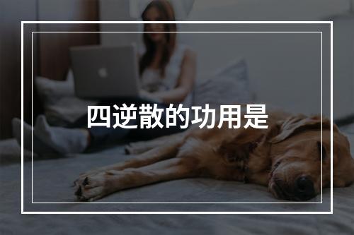 四逆散的功用是