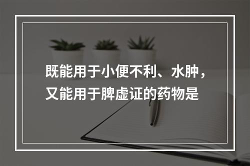 既能用于小便不利、水肿，又能用于脾虚证的药物是