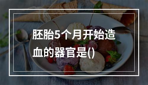 胚胎5个月开始造血的器官是()