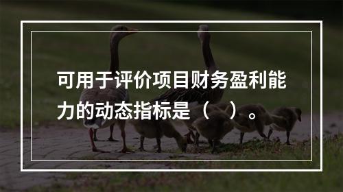 可用于评价项目财务盈利能力的动态指标是（　）。