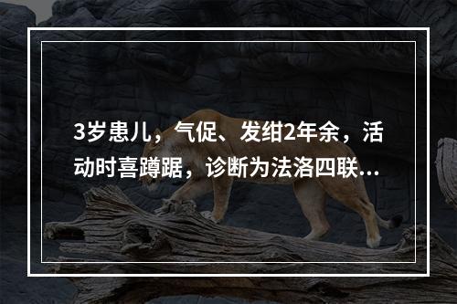 3岁患儿，气促、发绀2年余，活动时喜蹲踞，诊断为法洛四联症。