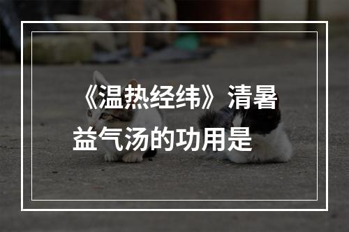 《温热经纬》清暑益气汤的功用是