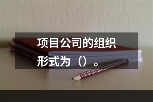 项目公司的组织形式为（）。