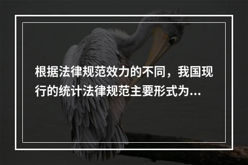 根据法律规范效力的不同，我国现行的统计法律规范主要形式为统