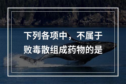 下列各项中，不属于败毒散组成药物的是