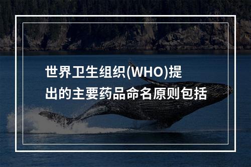 世界卫生组织(WHO)提出的主要药品命名原则包括