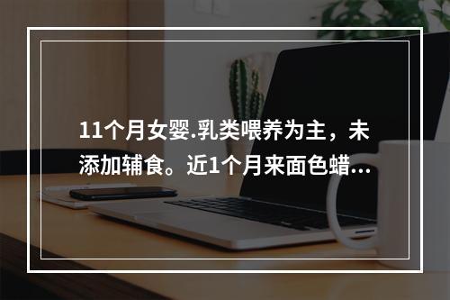 11个月女婴.乳类喂养为主，未添加辅食。近1个月来面色蜡黄、