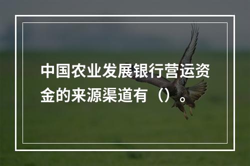 中国农业发展银行营运资金的来源渠道有（）。