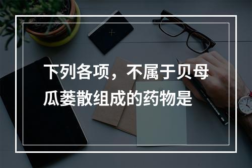 下列各项，不属于贝母瓜蒌散组成的药物是