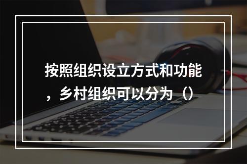 按照组织设立方式和功能，乡村组织可以分为（）