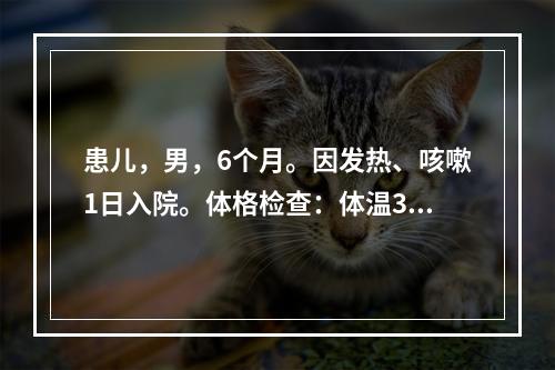 患儿，男，6个月。因发热、咳嗽1日入院。体格检查：体温38.