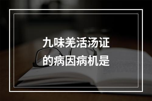 九味羌活汤证的病因病机是