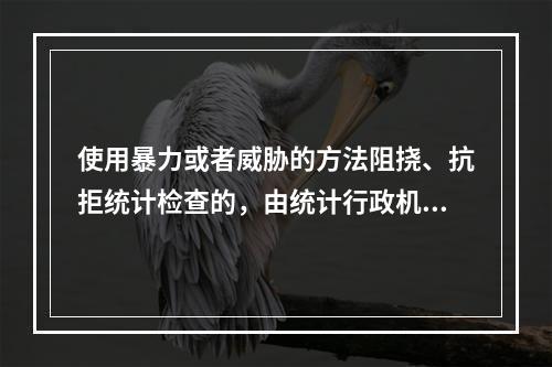 使用暴力或者威胁的方法阻挠、抗拒统计检查的，由统计行政机关责