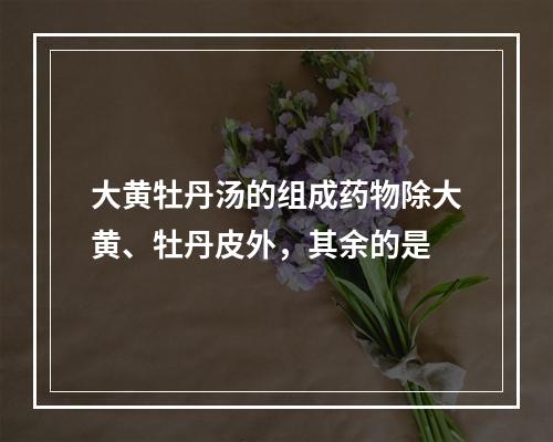 大黄牡丹汤的组成药物除大黄、牡丹皮外，其余的是