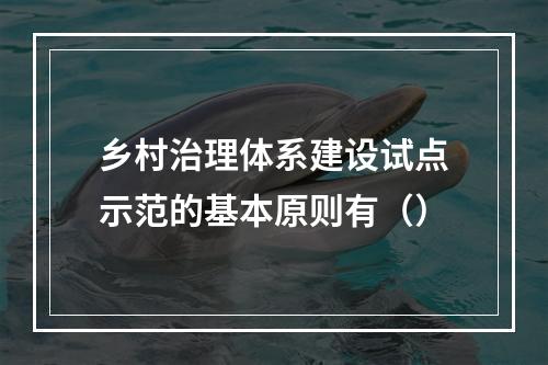 乡村治理体系建设试点示范的基本原则有（）