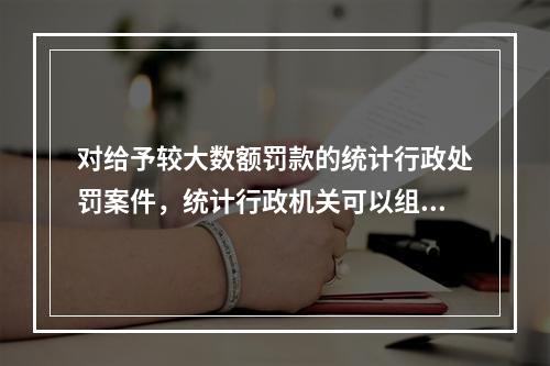 对给予较大数额罚款的统计行政处罚案件，统计行政机关可以组织听